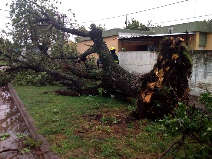 La tormenta llegó con fuertes ráfagas de viento