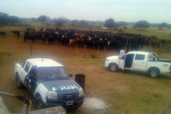 Denunció el robo de animales pero luego comprobaron que era un error