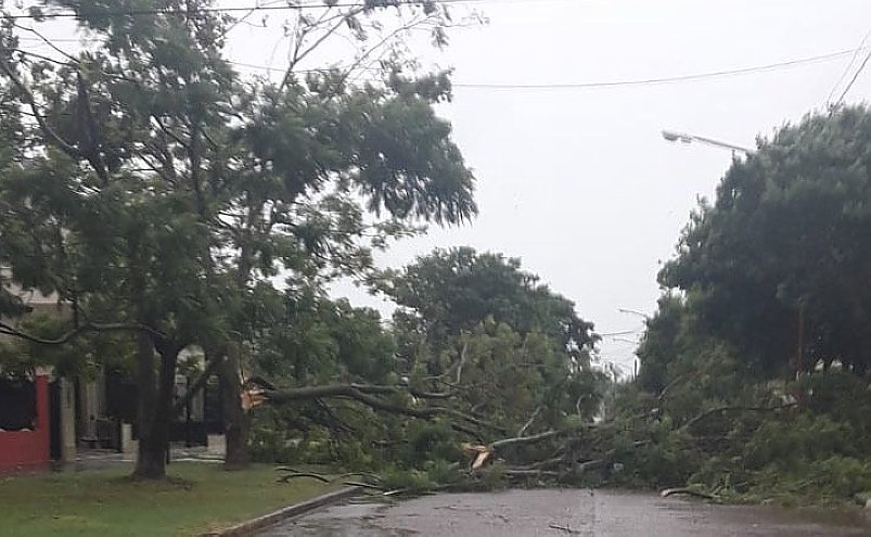 Un fuerte temporal azotó Selva y provocó daños