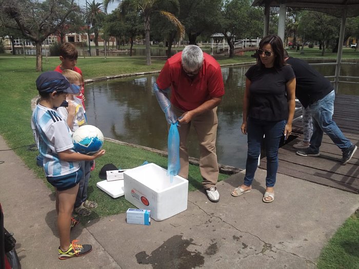 Aparecieron peces muertos en el lago sur de Morteros