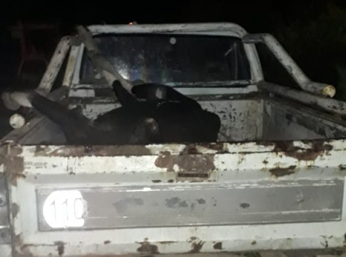 Moisés Ville: Secuestraron una camioneta y un vacuno muerto