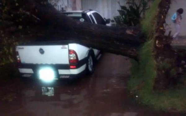 El fuerte viento provocó daños en localidades de la región