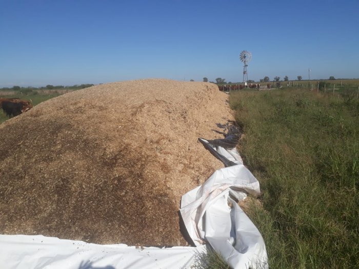 Productores de Moisés Ville víctimas del accionar delictivo