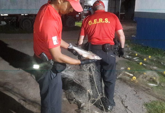 Balnearia: Decomisaron redes y pescados en un control vehicular