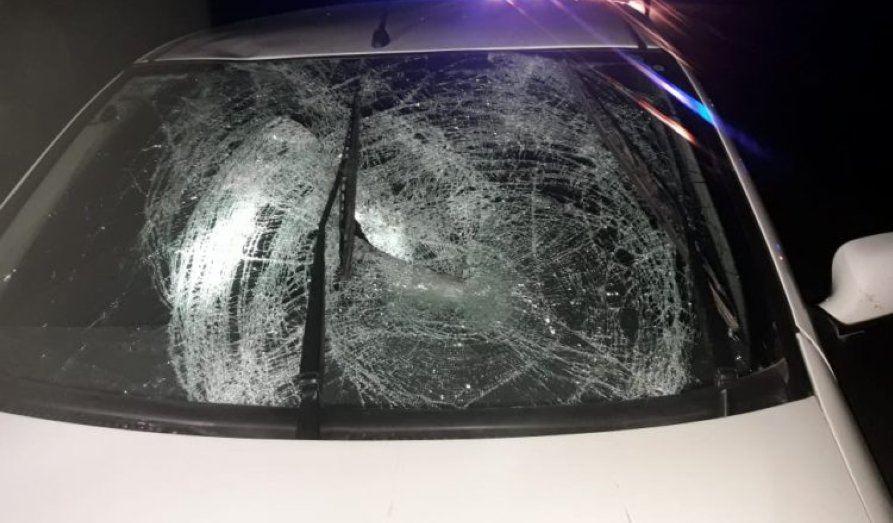 Ceres: Un hombre murió al ser atropellado en ruta 34
