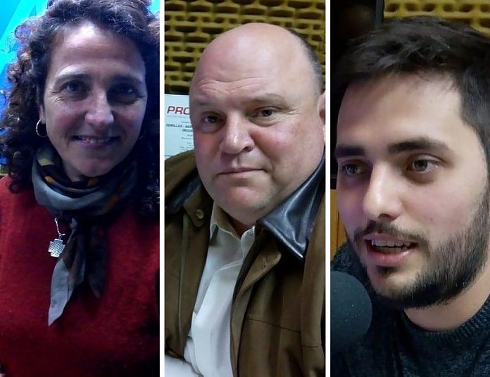 Suardi vota para renovar tres bancas del Concejo Deliberante