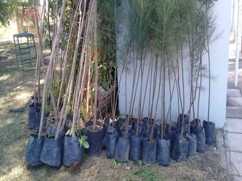 CoopMorteros continúa con la reforestación en escuelas rurales