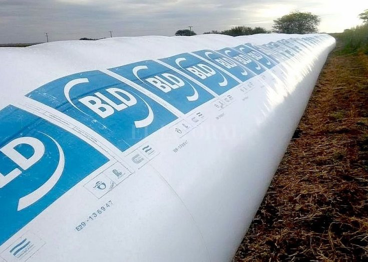 Productores de la región también fueron afectados por la quiebra de BLD