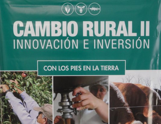 Marull: Lanzarán el Programa de Desarrollo Territorial para la producción rural