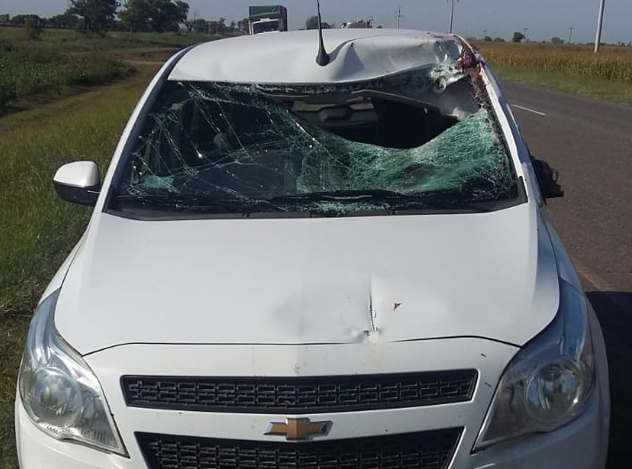San Guillermo: Automovilista lesionado al chocar un caballo