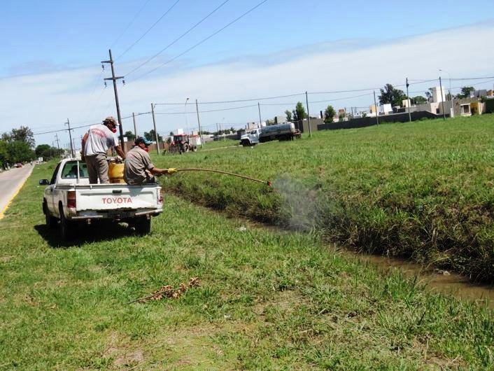Suardi: fumigaciones preventivas contra el dengue