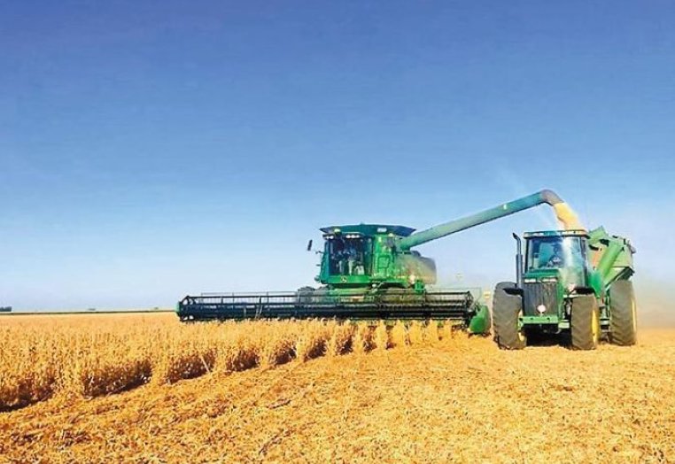 El gobierno confirmó el aumento de las retenciones a la soja