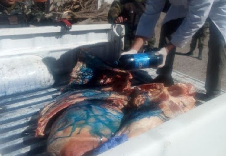 Col. Aldao: Tres hombres detenidos por transporte ilegal de carne