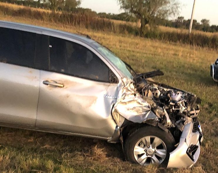 Balnearia: Caballo en la ruta provocó un accidente 