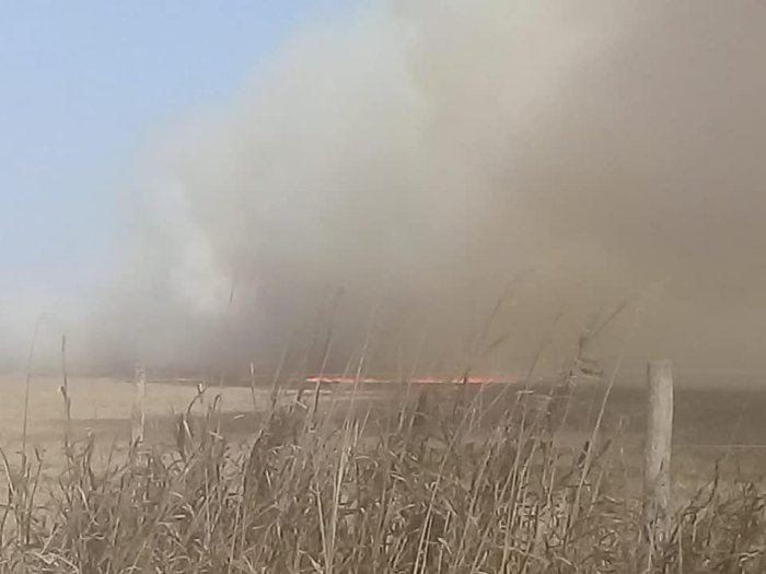 Importante incendio afectó la zona rural de Villa Trinidad