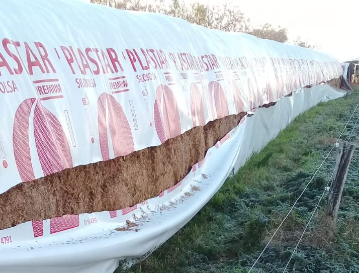 Los ataques a silobolsas también llegaron a Constanza y Moisés Ville