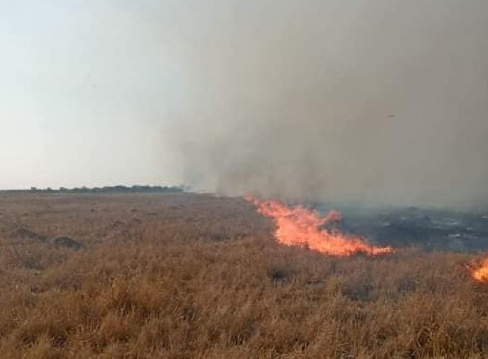 Intenso trabajo de Bomberos ante incendios rurales