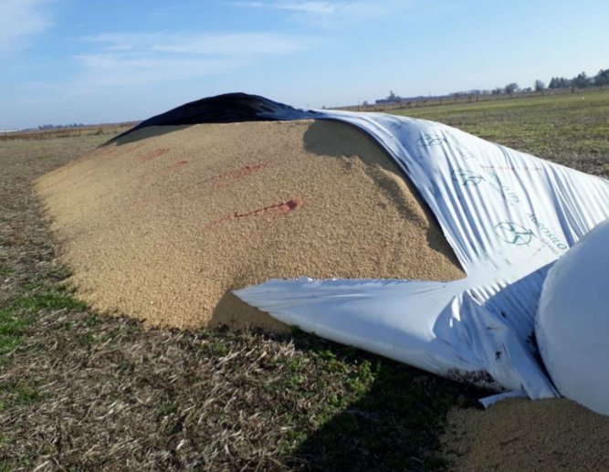 Dañaron un silobolsa de un productor de Col. Aldao