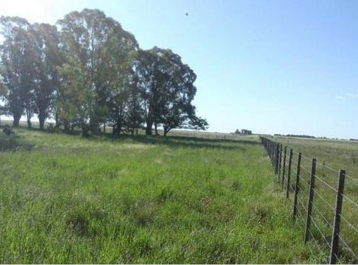 Productor denunció usurpación de sus campos en Pinto
