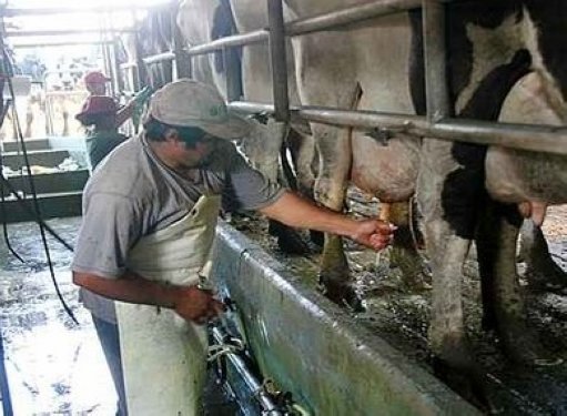 Nueva reunión tecnica-política por el precio de la leche