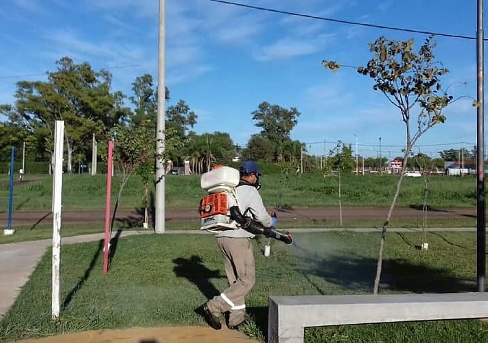 Suardi: Continúan con las fumigaciones preventivas del dengue