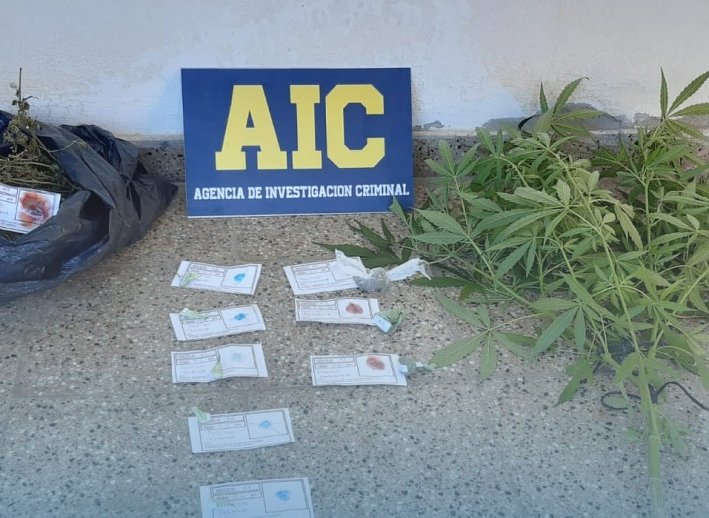 Incautaron estupefacientes en un domicilio de Moisés Ville