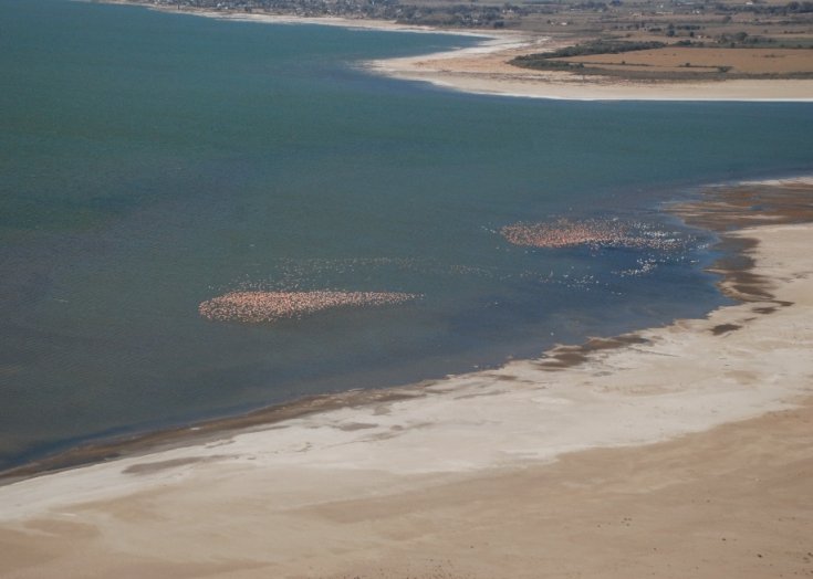 Sigue avanzando la creación del Parque Nacional Ansenuza