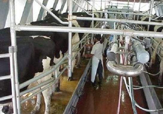 Meprosalfe vuelve a pedir medidas urgentes para la lechería