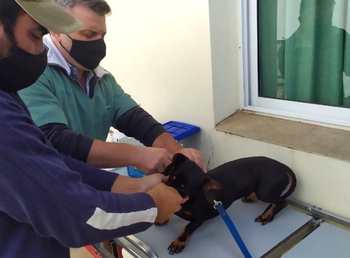 Se vacunaron 1900 mascotas en la campaña antirrábica de Brinkmann