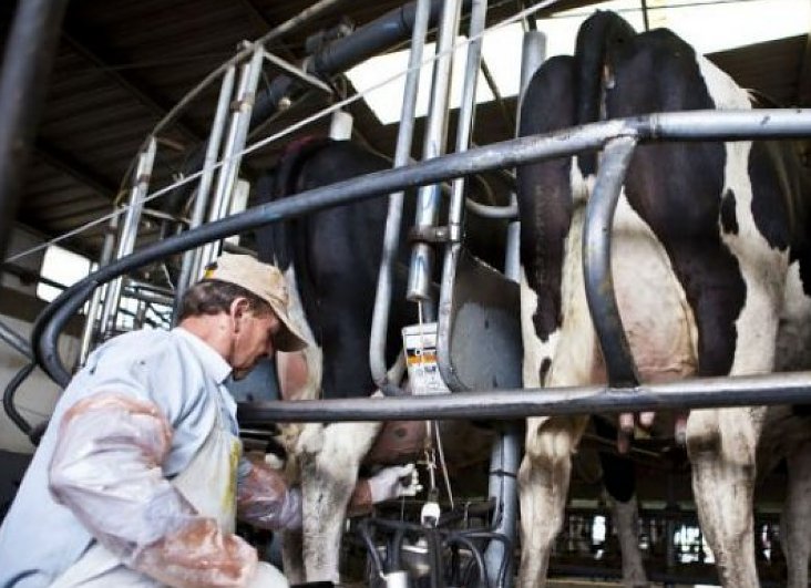 La provincia fomenta las buenas prácticas en la producción primaria de leche