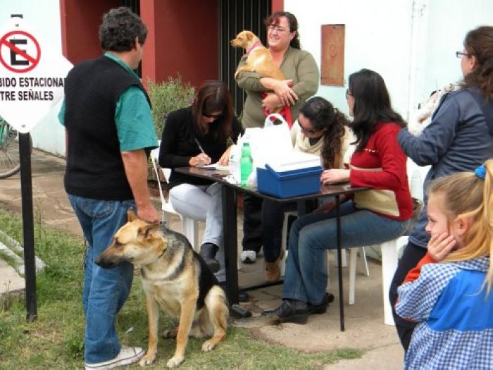 Continúa la campaña de vacunación antirrábica en Suardi