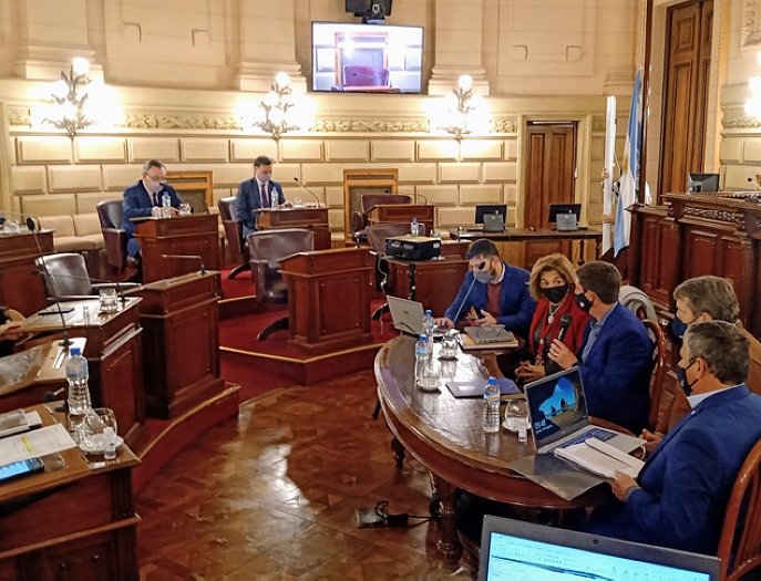Michlig calificó de positiva la reunión con la Ministra Frana