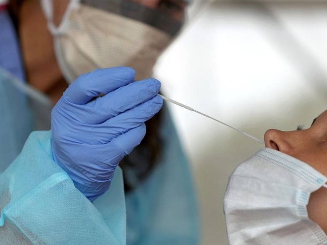 Proponen la implementación de un sistema de certificación de testeo negativo

