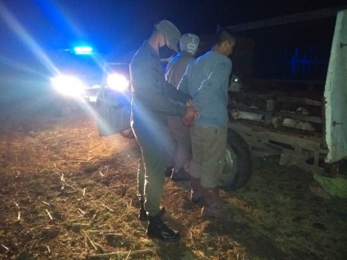 Dos detenidos por abigeato en un campo de Ambrosetti