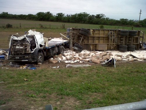 Camión volcó en cercanías de la localidad de Tacural