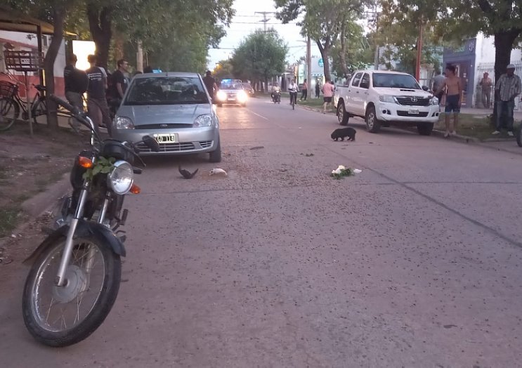 Ciclista con lesiones reservadas al protagonizar un accidente en Brinkmann
