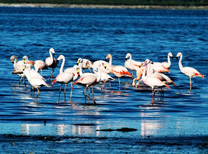 Brinkmann continúa con capacitaciones por el futuro Parque Nacional Ansenuza