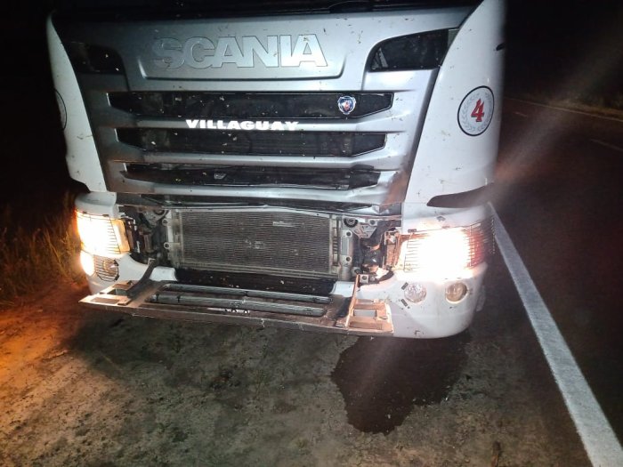 Camionero chocó un animal vacuno en jurisdicción de Huanqueros