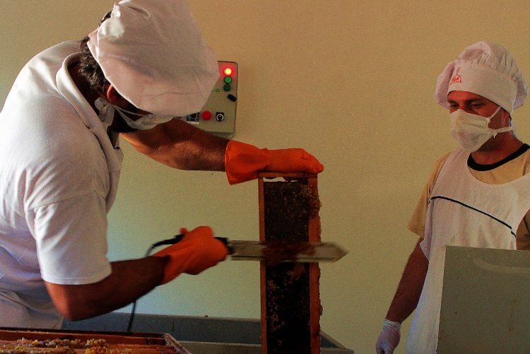La provincia realiza inversión para una sala de extracción de miel en Ambrosetti