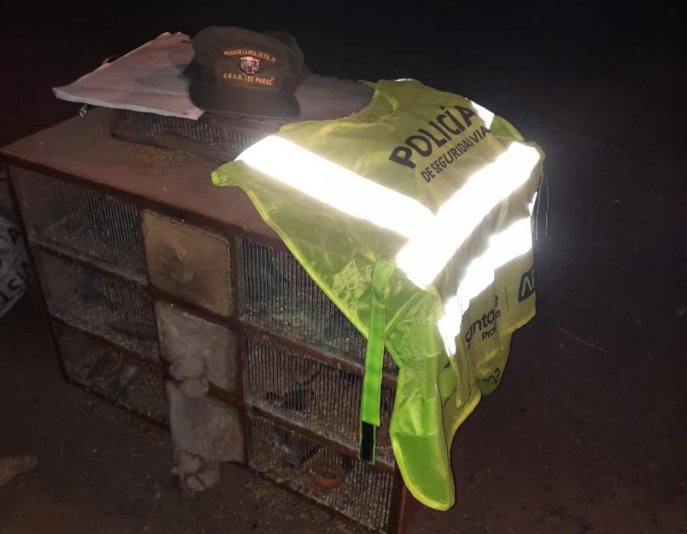 Ceres: Camionero transportaba pájaros y tortugas en forma ilegal