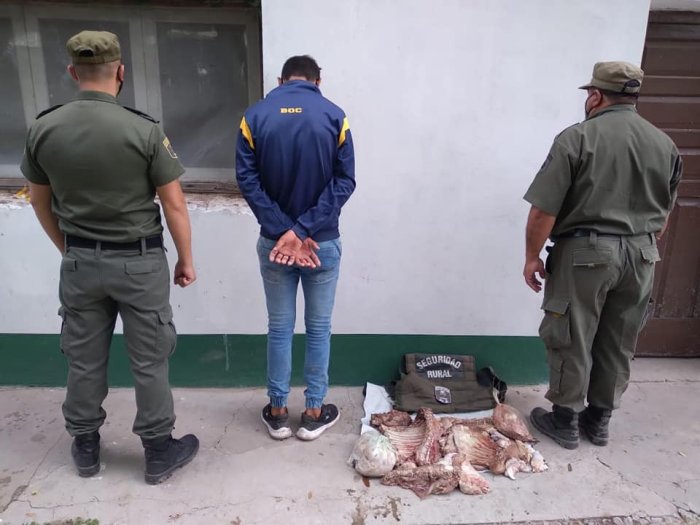 Joven detenido en San Cristóbal por abigeato