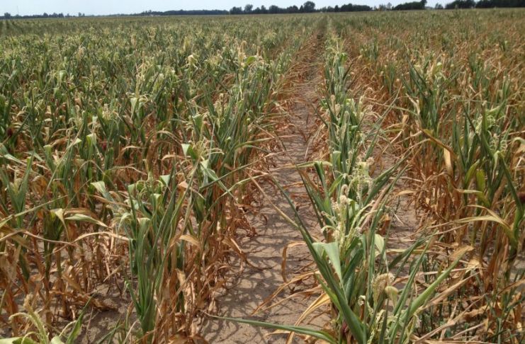 La provincia constatará a campo las declaraciones juradas presentadas por productores