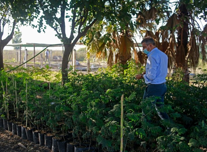 El Vivero municipal de Morteros cuenta con más de 3000 ejemplares
