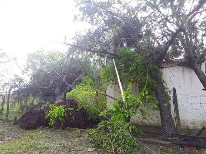 Fuerte tormenta afectó a la localidad de La Lucila
