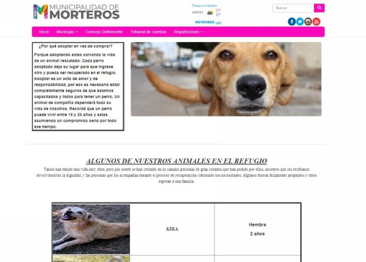 Morteros tendrá un sitio web para adoptar perros