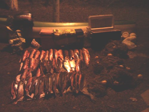 Decomisaron gran cantidad de pescados a dos hombres de Suardi