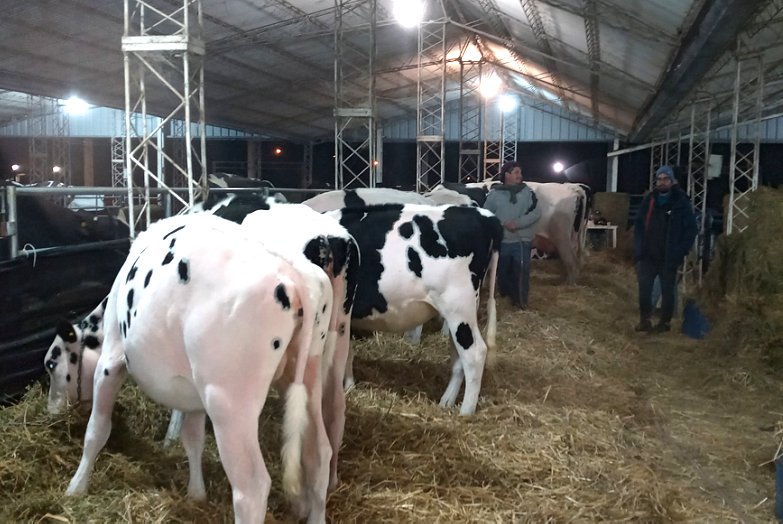 La Rural de Morteros es epicentro de la Feria Lechera de las Américas