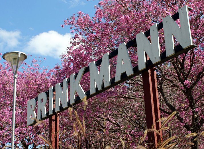 Fin de semana a puro festejo en Brinkmann