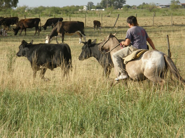 Los trabajadores rurales tendrán un aumento del 70%