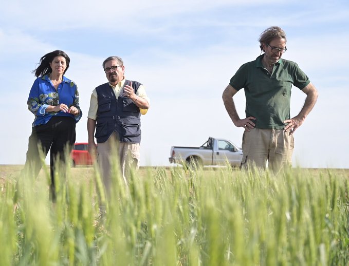 García pidió la Emergencia Agropecuaria por la sequía que pone en riesgo la cosecha